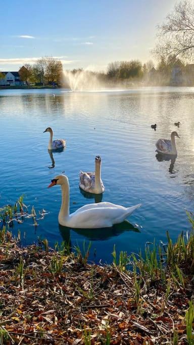 Emerald Lake House เซาธ์เซอร์นีย์ ภายนอก รูปภาพ