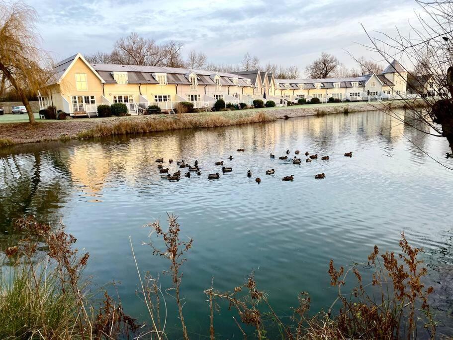 Emerald Lake House เซาธ์เซอร์นีย์ ภายนอก รูปภาพ